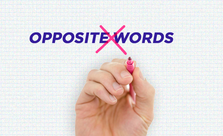 opposite-words-50-palavras-opostas-em-ingl-s-que-voc-precisa-saber-cultura-inglesa